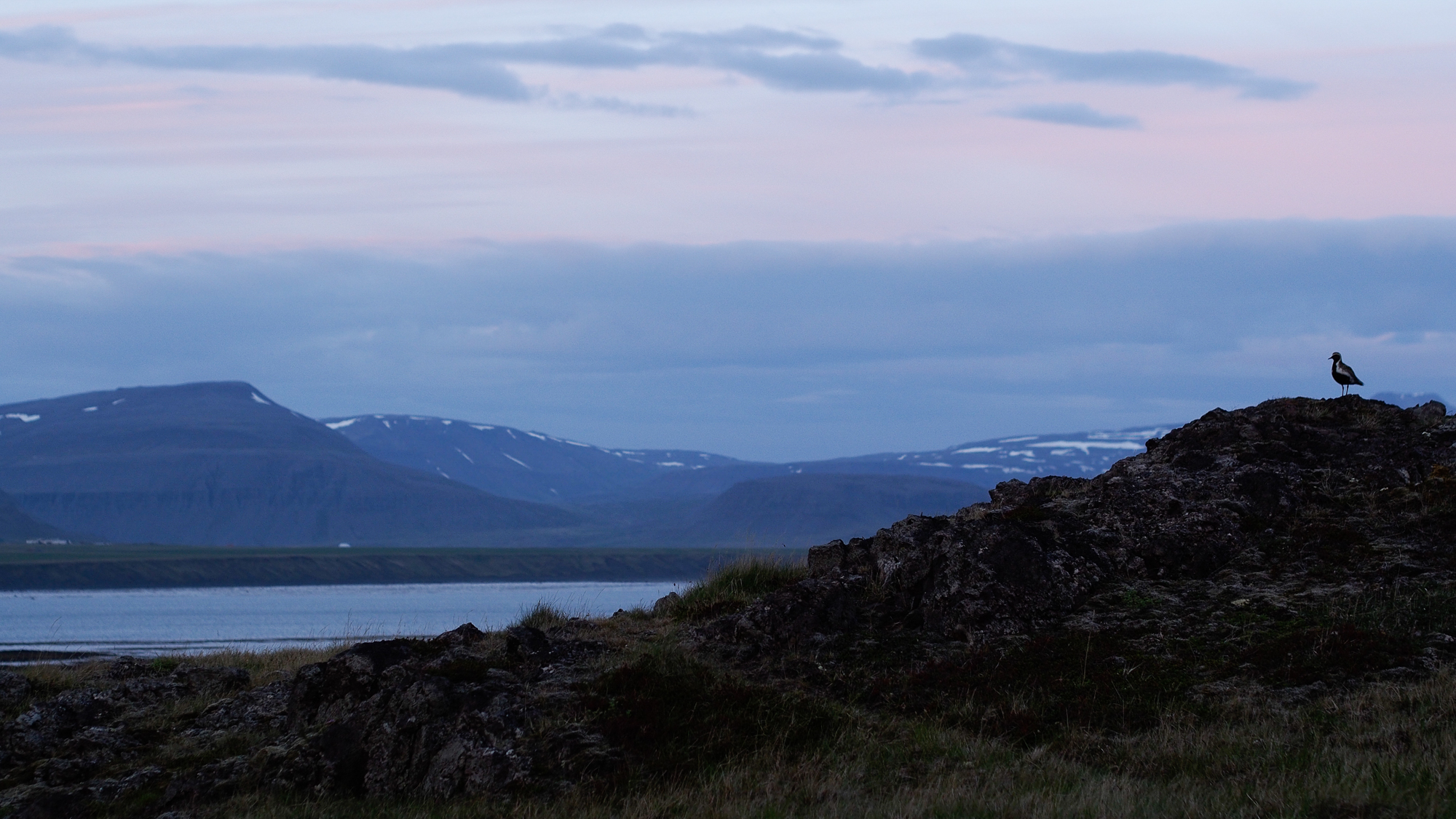 iceland (117 of 240)
